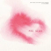 Ernst Molden & Neue Wiener ... - Mei Liab (High Quality) (LP + CD)