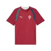 PUMA Portugal Slim Training Jersey Men, Football, Club Red/Silver Mist, XXL
