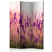 artgeist Paravan Lavender In The Rain, 3-Delni, Dvostranski