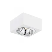Spot Rhodes 263