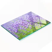 shumee Kuhinjska večnamenska dekorativna tabla iz kaljenega stekla, sivka, 80x52 cm