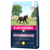 Eukanuba Puppy Large Breed piletina - 2 x 3 kg