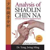 Analysis of Shaolin Chin Na