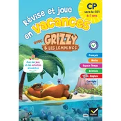 Cahier de vacances Grizzy et les lemmings - CP vers le CE1
