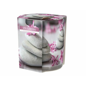 eoshop Sveča v kozarcu SPA VRT dišeče 100g