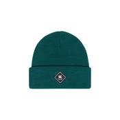Zelena kapa DC Shoes Label