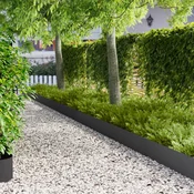 vidaXL Robovi trave 30 pcs 100 x 25 cm Jeklo Črna