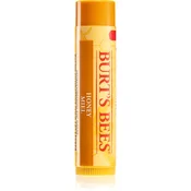 Burt´s Bees Lip Care balzam za ustnice z medom (with Honey & Vitamin E) 4 25 g