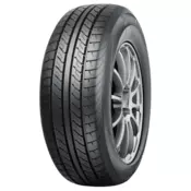 Nankang Passion CW-20 ( 225/55 R17C 109/107H )