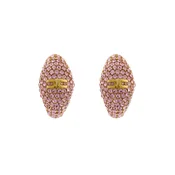 Uhani Elisabetta Franchi OR-44M-51E2-V250 Roza