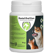 HOLLAND DENTAL ORAL CARE 60G