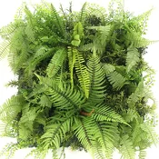 Zelena stena Madeira 50cm x 50cm brez UV