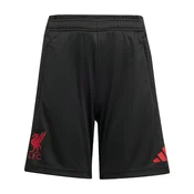 ADIDAS PERFORMANCE Sportske hlace Liverpool FC Tiro 25 Competition pijesak / crvena / crna