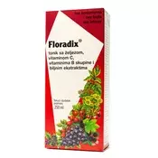 DIETPHARM FLORADIX TONIK 250ML