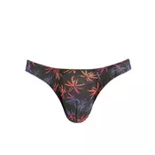 Muške sexy tange Chill string, Šarene