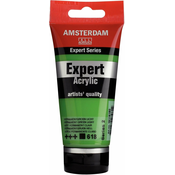 Amsterdam Expert Series Acrylic 75 ml Permanent Green Light