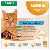 IAMS IAMS Delights Odrasle - Ribe v želeju - 8 x 85 g