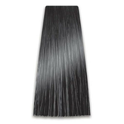 Farba za kosu COLORART 6/11 PROSALON | Farbe i kolor šamponi | Boja i nega kose | Kozmo Shop Online