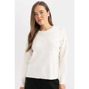 DEFACTO Regular Fit Crew Neck Sweater