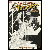The Amazing Spider-Man by Steve Ditko Artists Edition