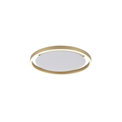 Leuchten Direkt 15392-60 - LED prigušiva stropna svetiljka RITUS LED/30W/230V
