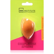 IDC Institute Complexion Sponge večnamenska gobica za make-up 1 kos