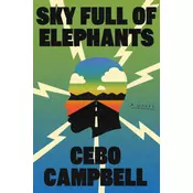 Sky Full of Elephants
