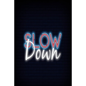 Slow down: The Things You Can See Only When You Slow Down: How to Be Calm in a Busy World.