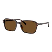 Ray-Ban RB2231 902/57