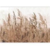 artgeist Fototapeta Tall Grasses, 150x105cm