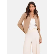Lipsy Blazer kamen