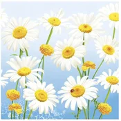 Papirnate serviete SPRING FLOWERS Travniške marjetice Rojstni dan 33x33cm 20 kosov.