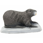 SRT Target 3D Coypu