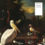 William Doyle - Great Spans Of Muddy Time (Limited Edition) (Pelican White Coloured) (LP)
