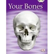 BC NF Green C/1B Your Bones
