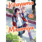 KITAYAMA & MINAMIYA V01