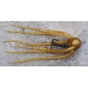 Cof za lov sulca MONARCH DOK Coff 15 cm | HONEY