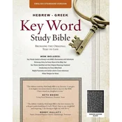 Hebrew-Greek Key Word Study Bible-ESV