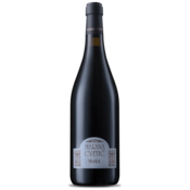 Masciarelli Vino Merlot Terre Aquilane IGT Marina Cvetič 2017 0,75 l