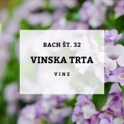 Bachove kapljice 32, Vinska trta - Vine, 10 ml