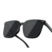 Pulais Unisex naocare za sunce, Crne