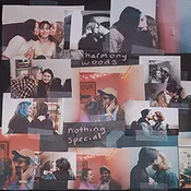 Harmony Woods - Nothing Special (LP)