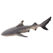 Figurica Mojo Sealife - Morski pas crnog grebena