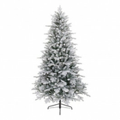 Everlands Jelka Vermont spruce 210cm-127cm 68.9542