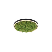JUST LIGHT. 15391-66 - LED prigušiva stropna svetiljka GREEN RITU LED/20W/230V