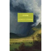 Storm