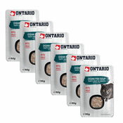 Ontario Cat ocean fish soup 6x40 g