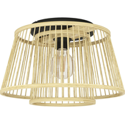 Eglo 43851 - Plafonsko svetlo HYKEHAM 1xE27/40W/230V