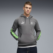 PUMA Borussia MA¶nchengladbach FtblKING Hoodie Men, Clothing, Flat Medium Gray/Green, XXL