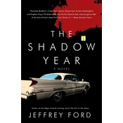 The Shadow Year